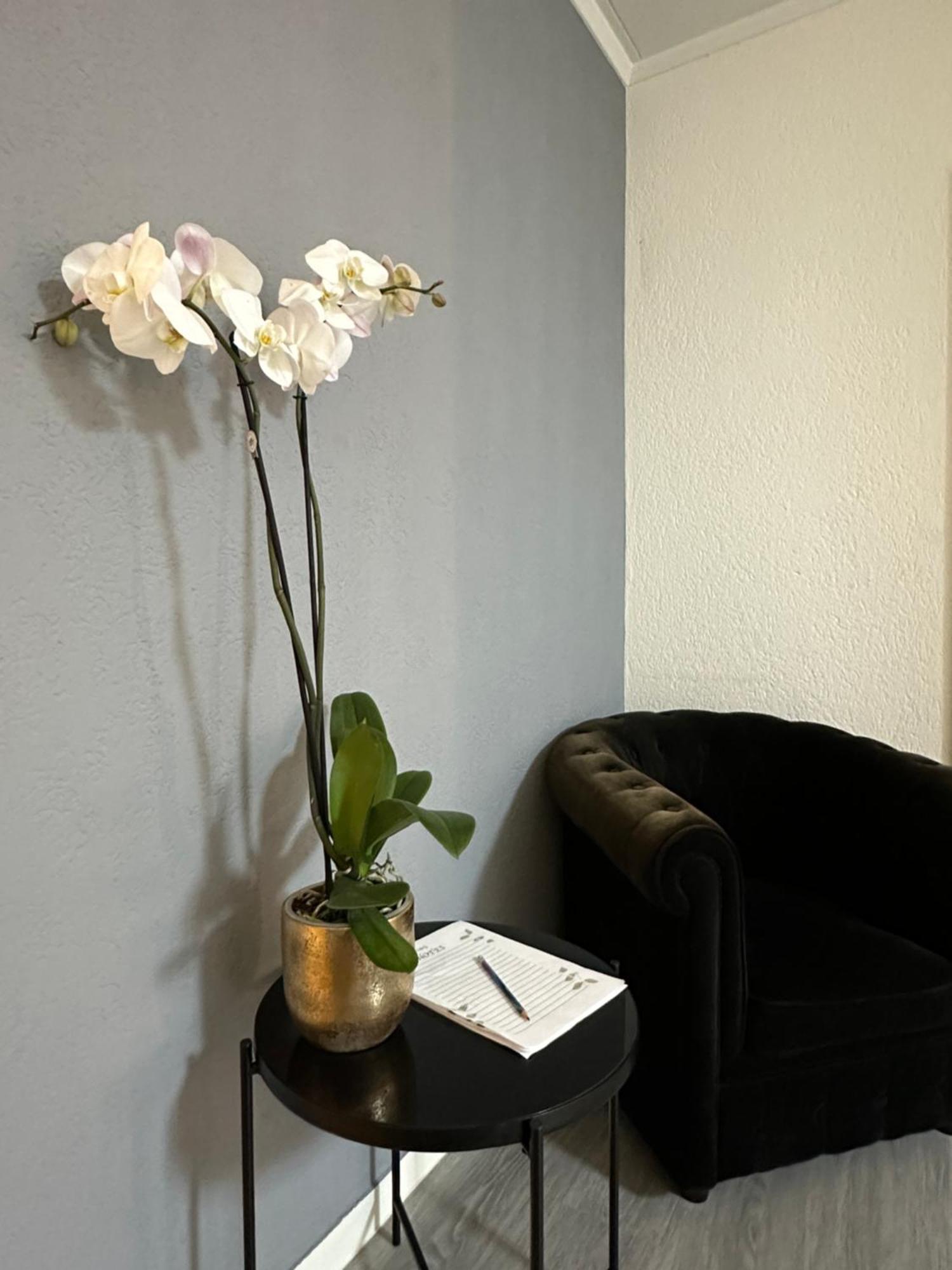 Lindo Apartamento En El Centro De Lausanne Eksteriør bilde